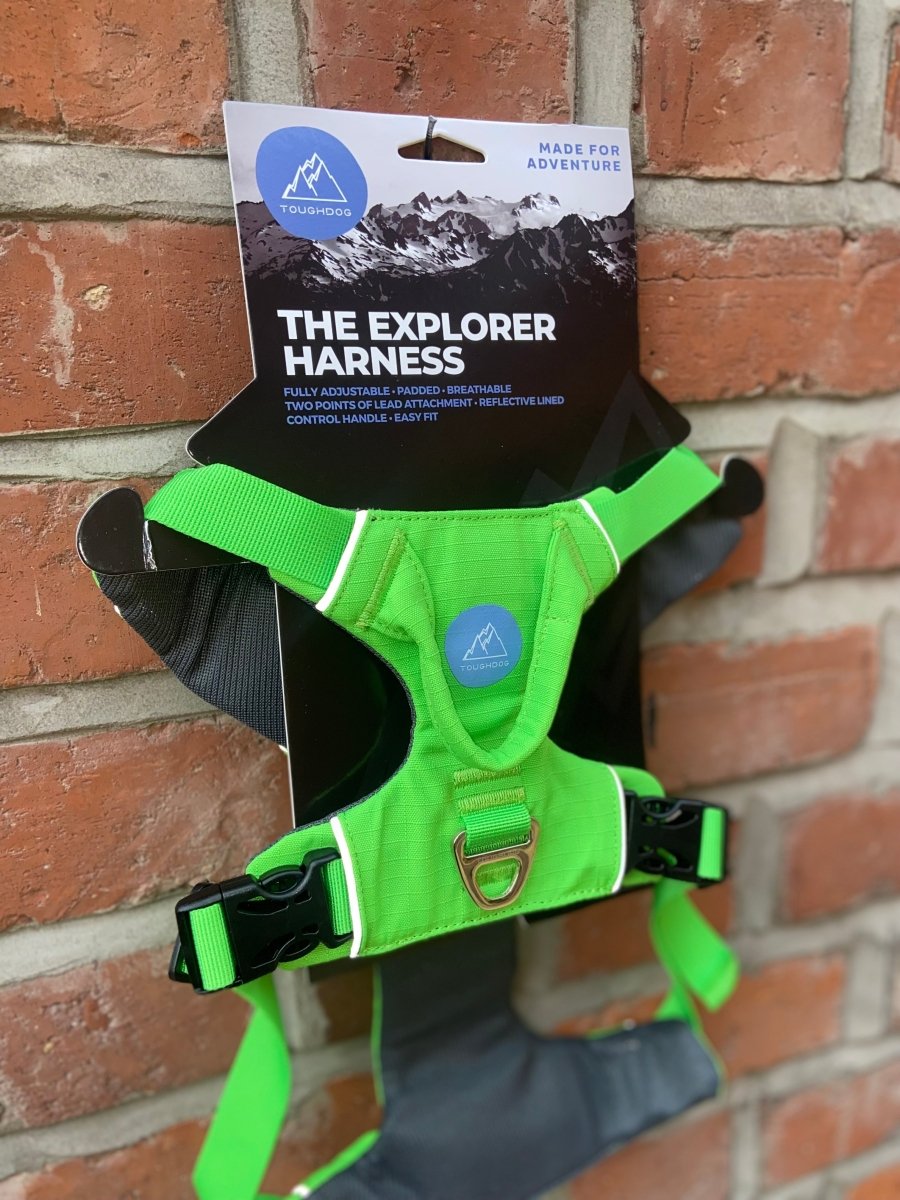Explorer Harness V2.0 Aurora Green - TOUGHDOG Ltd