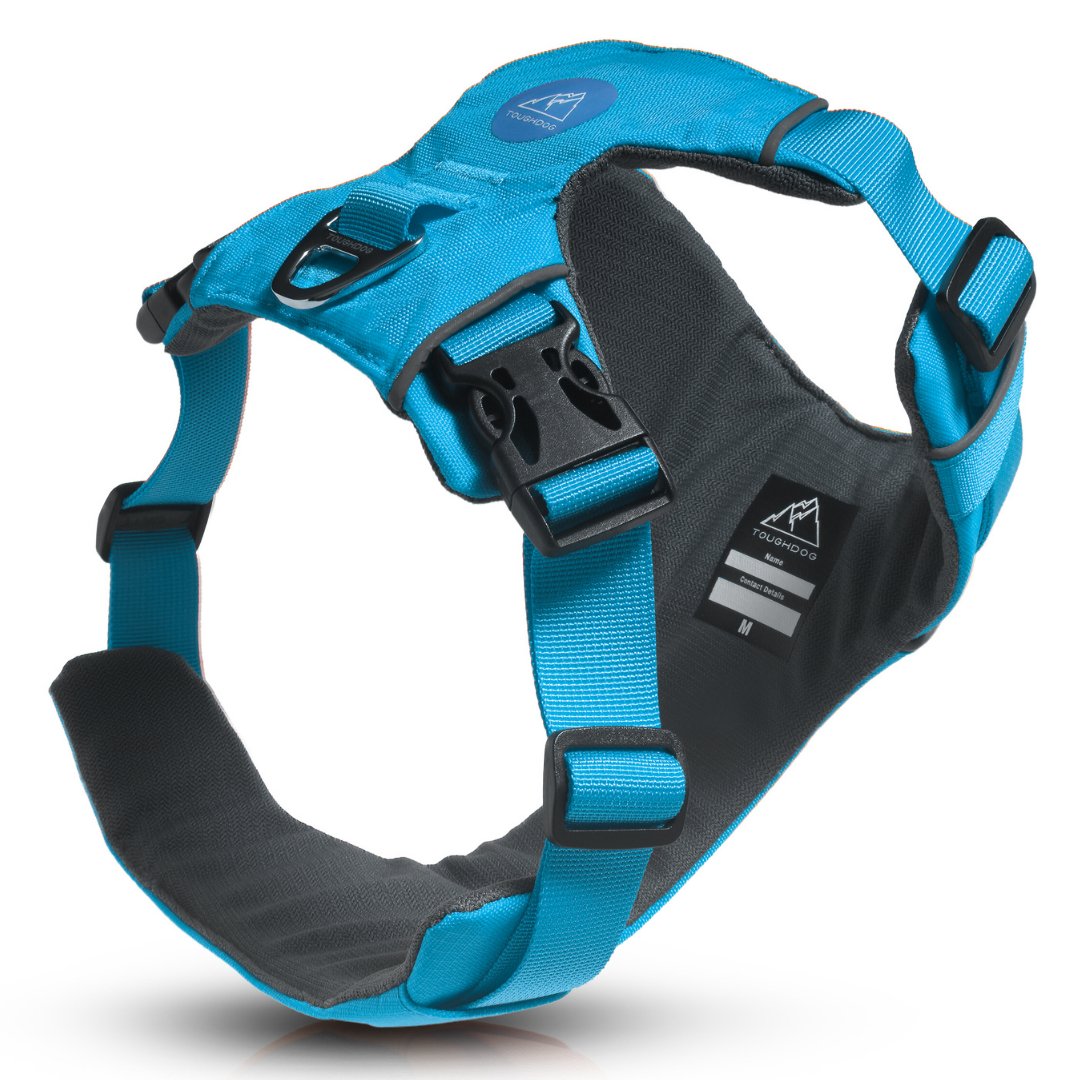 Explorer Harness Glacier Blue 🧊 - TOUGHDOG Ltd