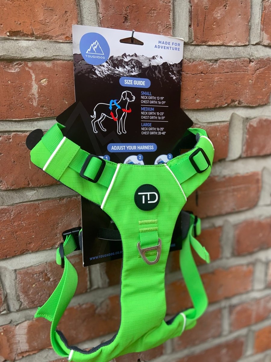 Explorer Harness V2.0 Aurora Green - TOUGHDOG Ltd