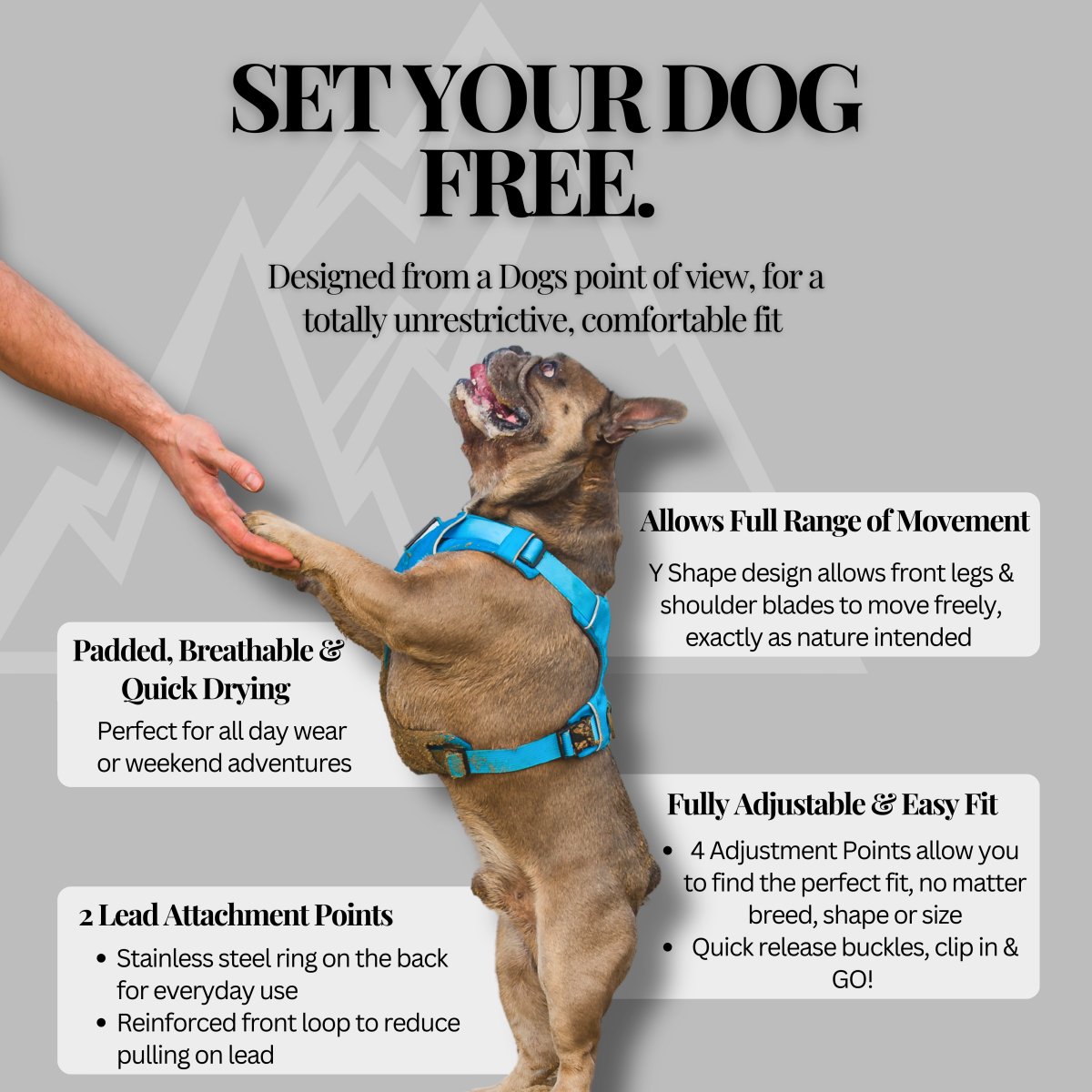 Explorer Harness Storm Grey 🌪️ - TOUGHDOG Ltd