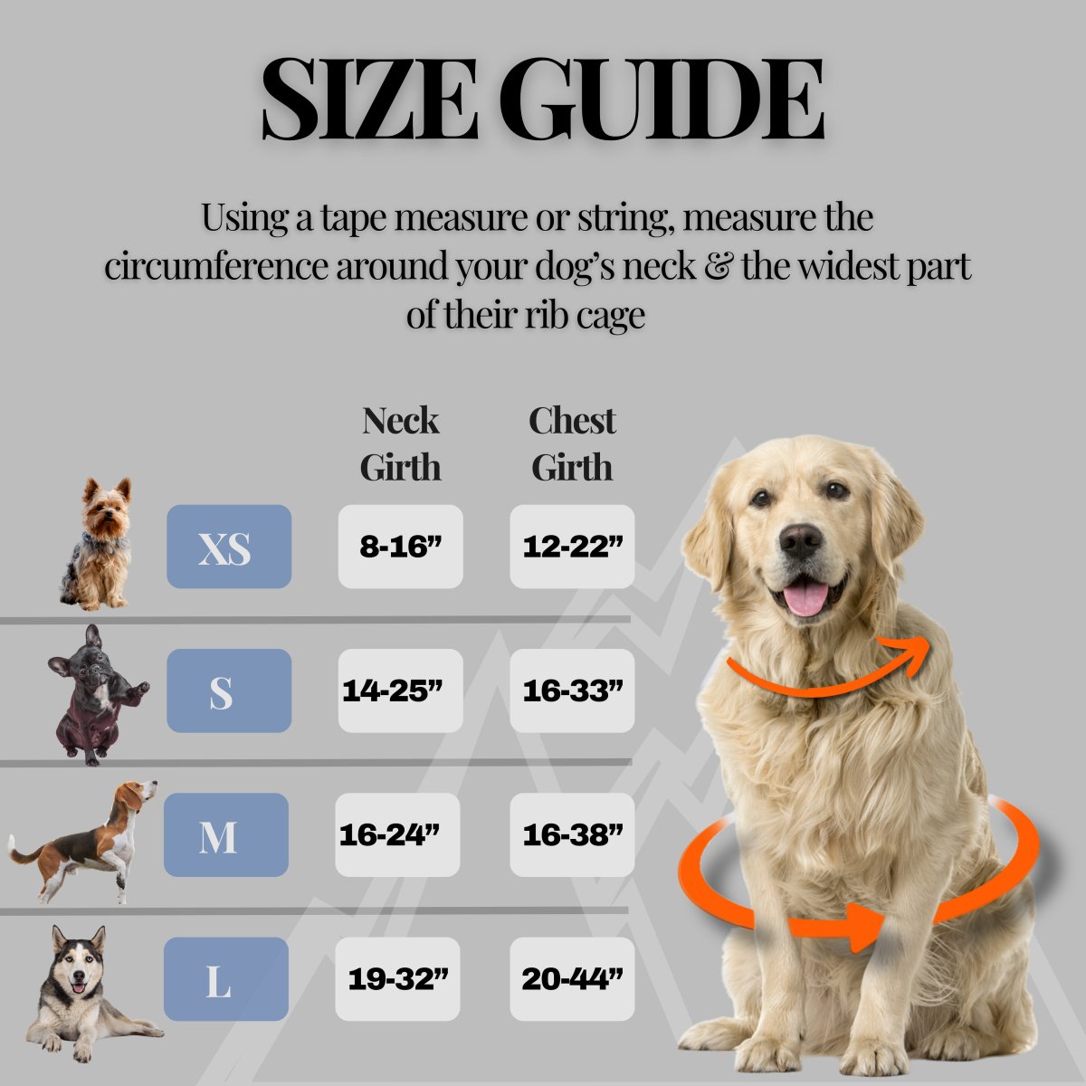 Explorer Harness Storm Grey 🌪️ - TOUGHDOG Ltd