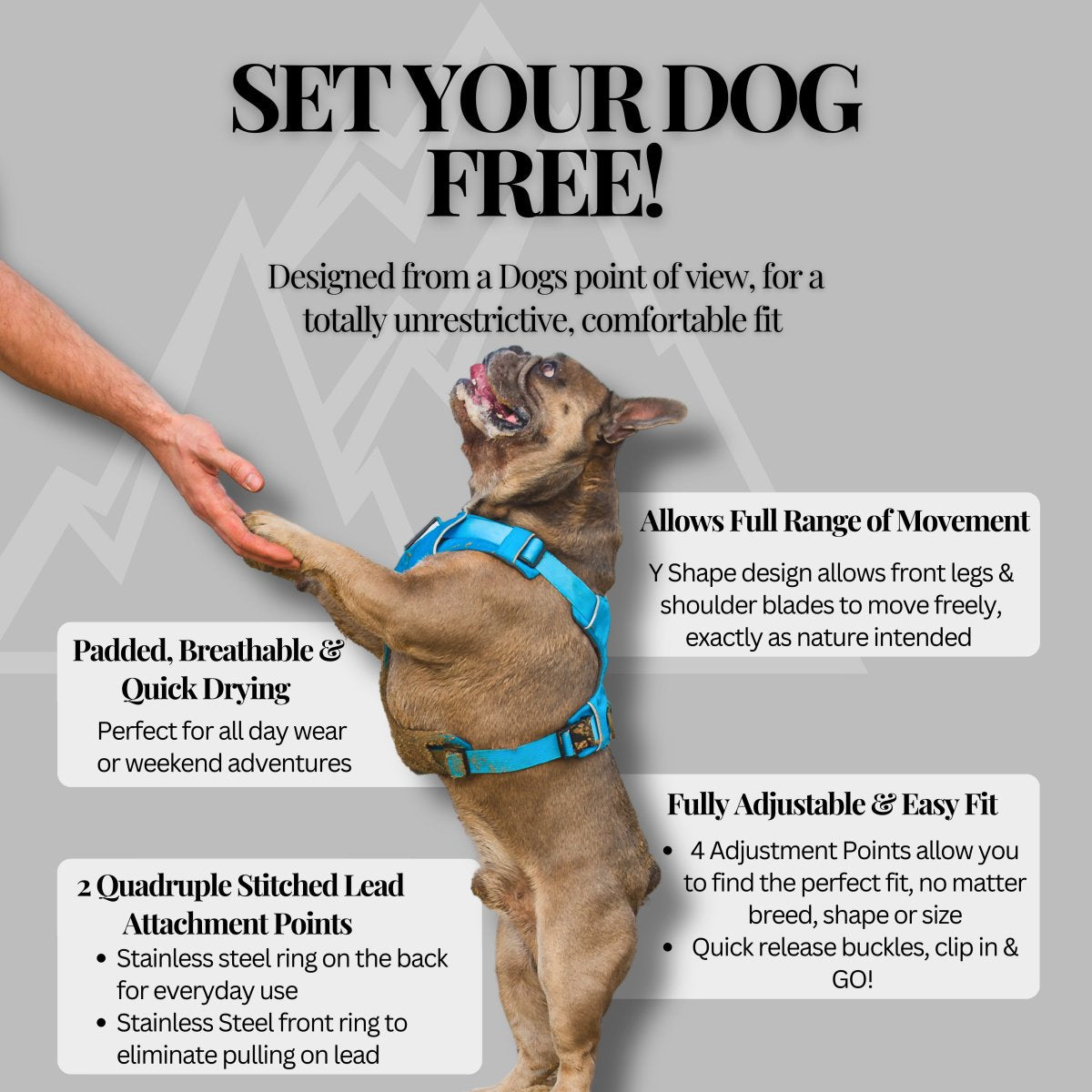 Explorer Harness V2.0 Aurora Green - TOUGHDOG Ltd
