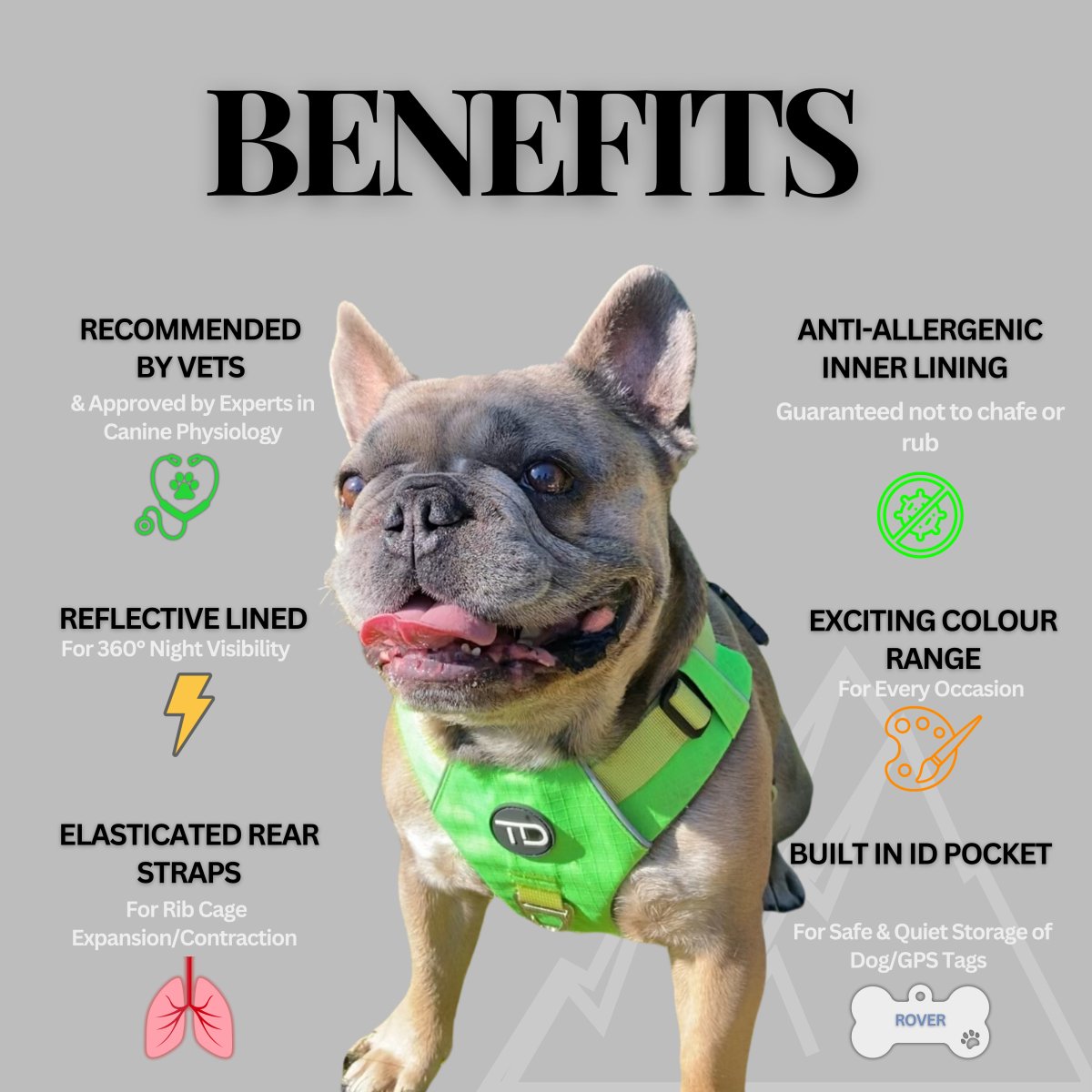 Explorer Harness V2.0 Aurora Green - TOUGHDOG Ltd