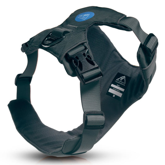 Explorer Harness Storm Grey 🌪️ - TOUGHDOG Ltd