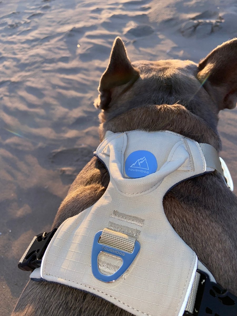 Explorer Harness V2.0 Sand - TOUGHDOG Ltd