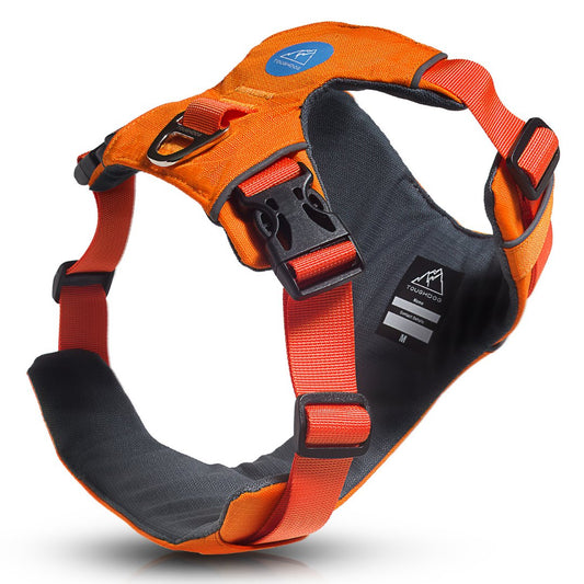 Explorer Harness Sunset Orange 🌅 - TOUGHDOG Ltd