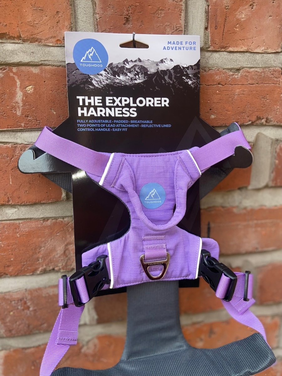 Explorer Harness V2.0 Lavender Purple - TOUGHDOG Ltd