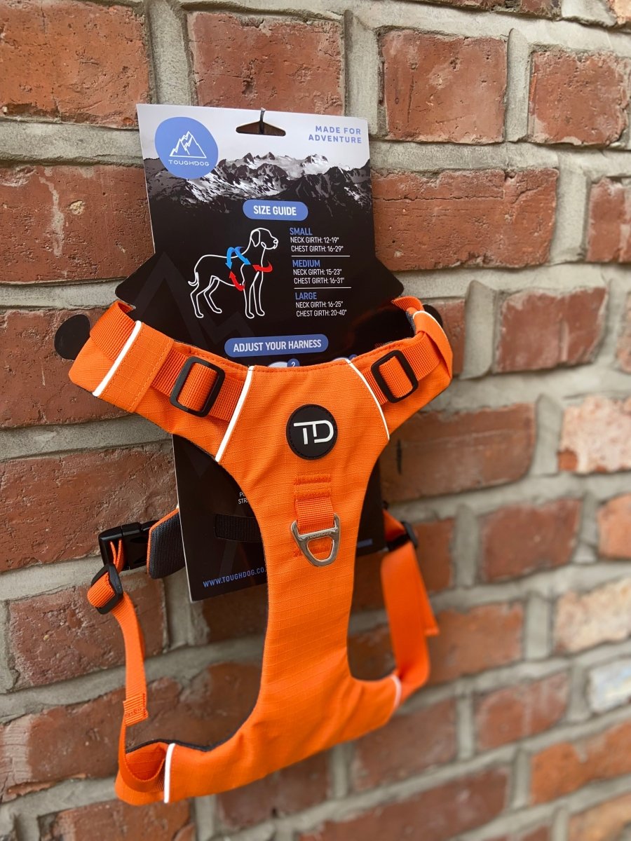 Explorer Harness V2.0 Sunset Orange - TOUGHDOG Ltd