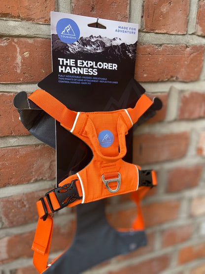 Explorer Harness V2.0 Sunset Orange - TOUGHDOG Ltd