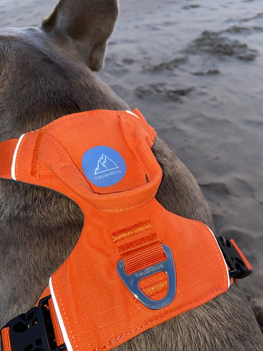 Explorer Harness V2.0 Sunset Orange - TOUGHDOG Ltd