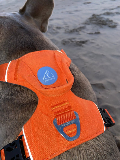 Explorer Harness V2.0 Sunset Orange - TOUGHDOG Ltd