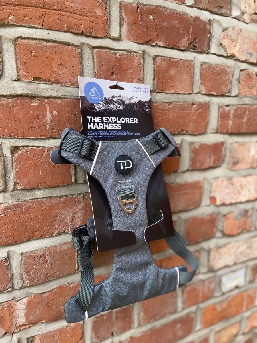 Explorer Harness V2.0 Slate Grey - TOUGHDOG Ltd