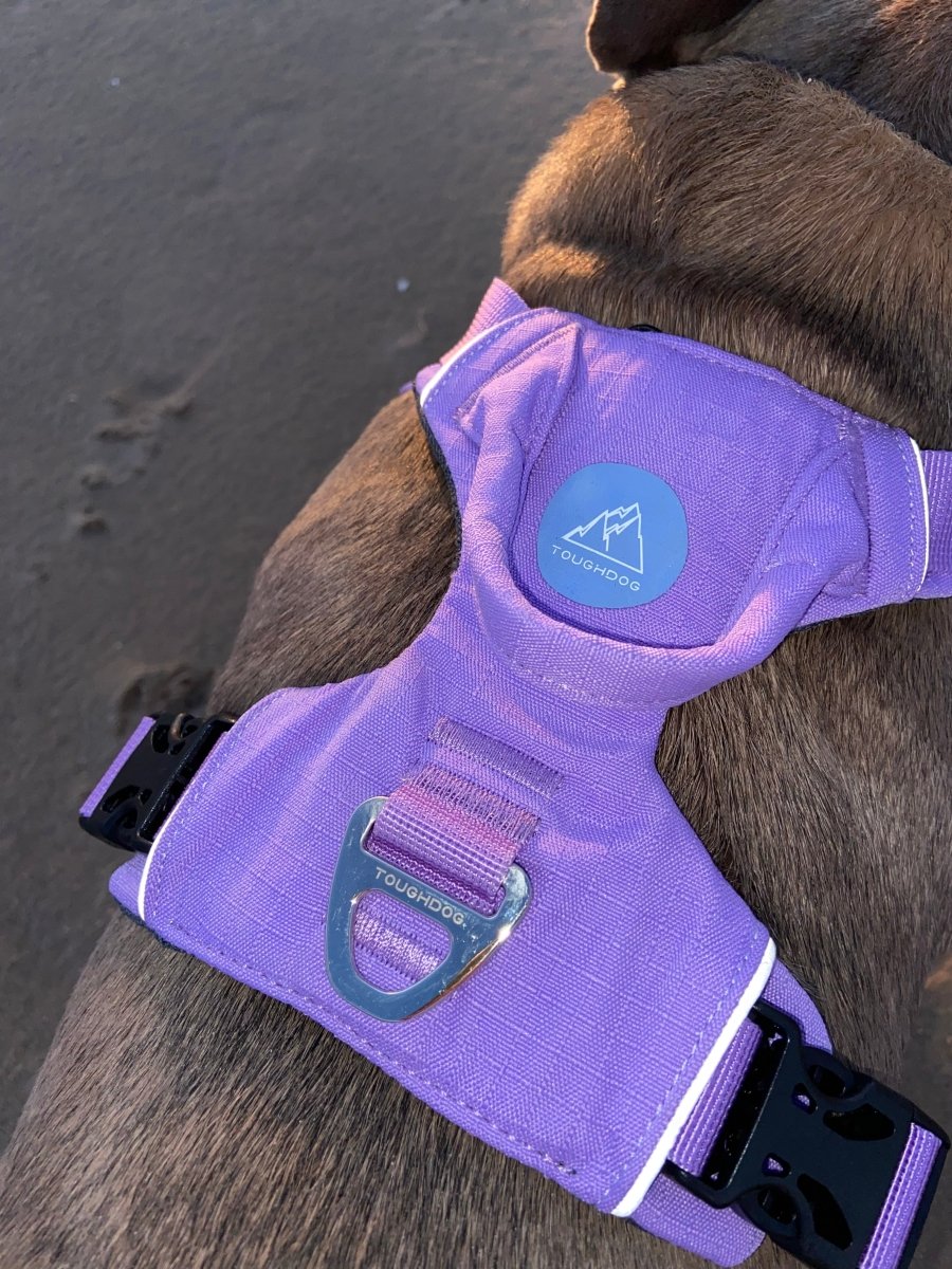 Explorer Harness V2.0 Lavender Purple - TOUGHDOG Ltd