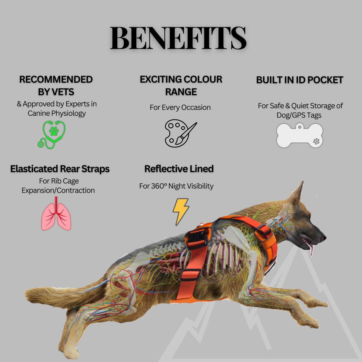 Explorer Harness Storm Grey 🌪️ - TOUGHDOG Ltd